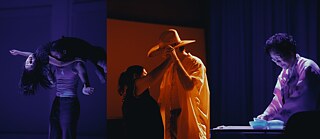 Voices of Experience Performance