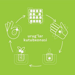 Wie funktioniert die Saatgutbibliothek 