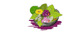 Illustration eines Blumensalats