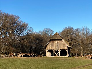 Jægersborg Dyrehave2