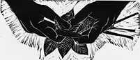 Indigenous Plants for Resilient Futures Booklet