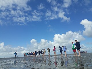 Sommerakademie 2023 - Das blaue Klassenzimmer