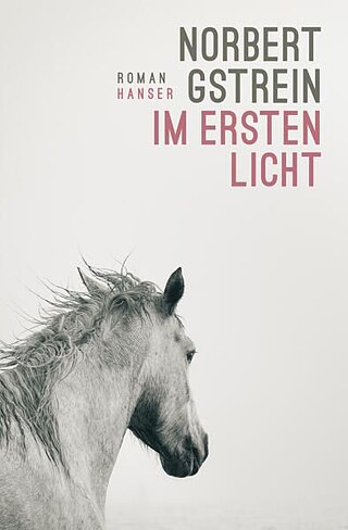 Norbert Gstrein: Im ersten Licht Roman 