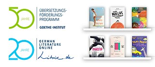 Logos of the Translation Funding and the Litrix Programme