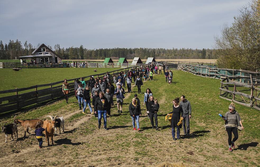 Eine der beliebtesten Veranstaltungen auf der Farm der Hoffnung ist das sogenannte Barmherzige Osterfest, das Marie zusammen mit den Vincours, den Gründer*innen der gemeinnützigen Organisation Zvířata nejíme (etwa „Wir essen keine Tiere“), veranstaltet. Das Ehepaar hat viele der geretteten Tiere auf die Farm gebracht, darunter das Ferkel Milánek.