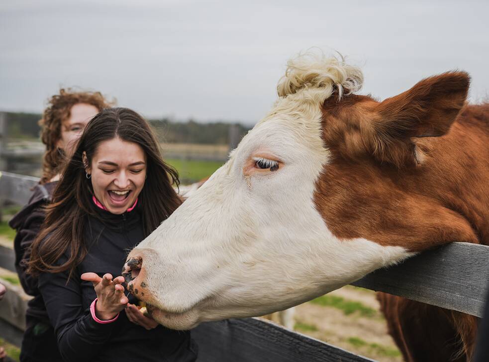 Eine der beliebtesten Veranstaltungen auf der Farm der Hoffnung ist das sogenannte Barmherzige Osterfest, das Marie zusammen mit den Vincours, den Gründer*innen der gemeinnützigen Organisation Zvířata nejíme (etwa „Wir essen keine Tiere“), veranstaltet. Das Ehepaar hat viele der geretteten Tiere auf die Farm gebracht, darunter das Ferkel Milánek. 