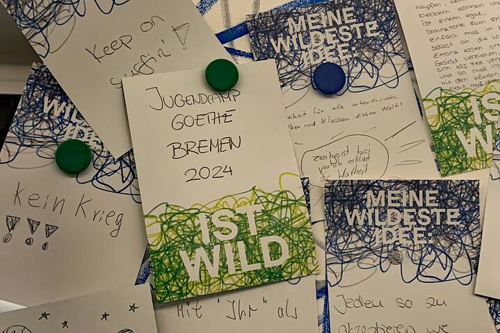 Karten mit „wilden“ Ideen beschriftet.