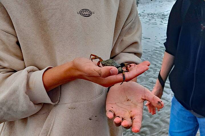Ein Jugendlicher hält eine Krabbe in der Hand.