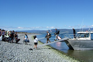 Arriving & departing Waiorua