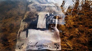 Pontes sobre abismos, 2017