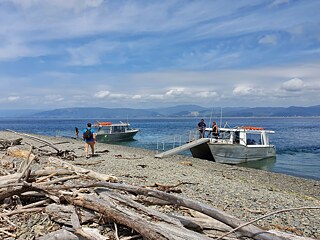 Kapiti Islands - There are only two tour companies that can take a maximum of 160 passengers to Kapiti Island each day. This prevents the island from being overrun by humans disrupting wildlife.