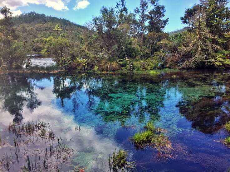Spiegelung bei Te Pupu Springs – Das Wissen um die Durchschnittssichtweite erschwert die Abschätzung, wie tief das Wasser genau ist, das man betrachtet.
