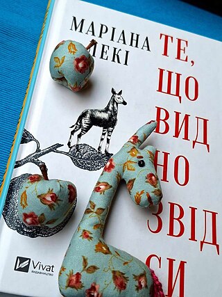 Фото книжки разом із іграшкою