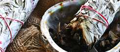 Indigenes Storytelling