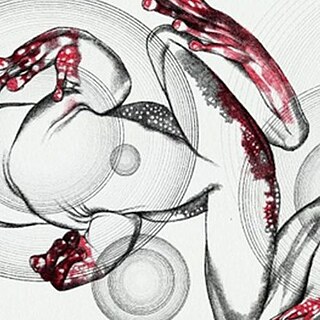 Frosch Grafik