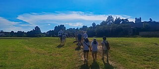 Jugendliche auf einer Wiese