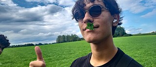 Jugendlicher mit Sonnenbrille auf der Nase und Kleeblatt im Mund