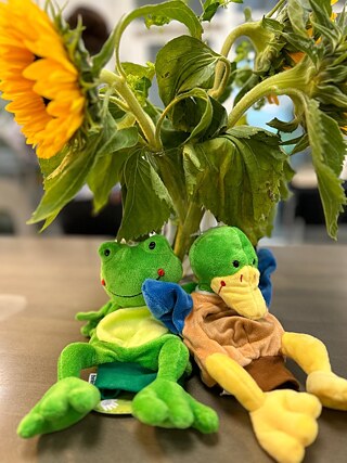 Eindrücke vom Fortbildungstag DEUTSCH_PRIMAR@goethe am 31.8.2024