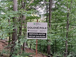 Eine Landschaft der Gegensätze: Einige der ältesten Buchenwälder an den Hängen des Erzgebirges befinden sich in unmittelbarer Nähe der ČSA-Kohlengrube des Kohlebarons Pavel Tykač.