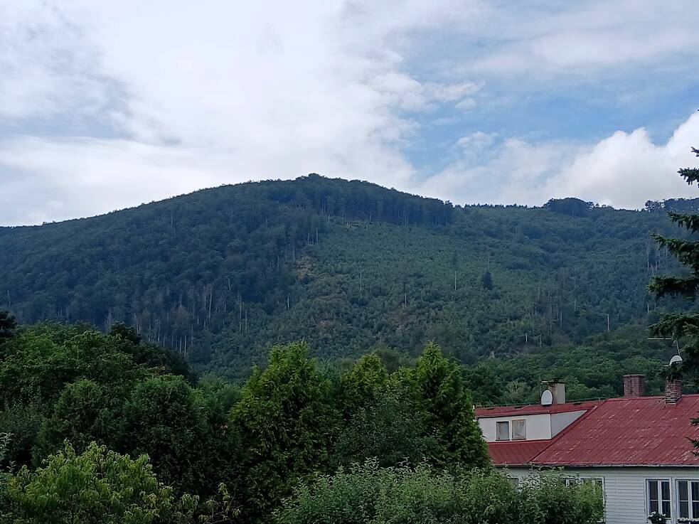 Beispiel eines Kahlschlags oberhalb von Horní Jiřetín 