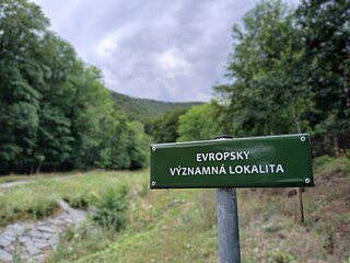 Alte Buchenwälder machen das Osterzgebirge (Východní Krušnohoří) aus, ein sogenanntes Gebiet von europaweiter Bedeutung. Förster holzen sie weiterhin ab.