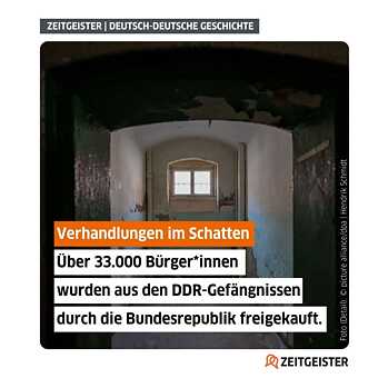 Visuel til artiklen "Verhandlungen im Schatten" i onlinemagasinet Zeitgeister
