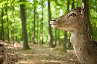 „Die Tradition hat den großen Nachteil, dass sie missverstanden wird, zumindest unter uns Jägern.“
