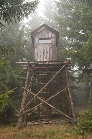 „Die Jäger halten ein gewisses Gleichgewicht zwischen Natur und Mensch aufrecht, was sehr wichtig ist.“