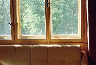 listy opilý slunečním svitem mi cestou zpívaly kytky rozprostíraly svý sukýnky a šeptaly mi že mám být odvážná