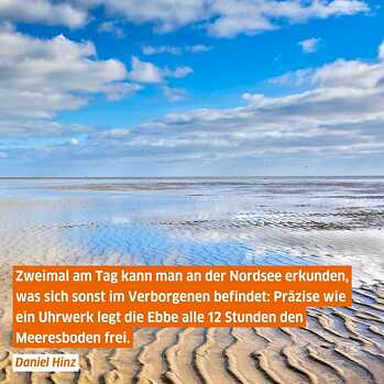 Foto af Vadehavet