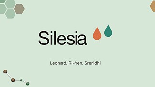 Silesia