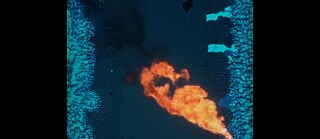 Flame in a blue, organic looking context