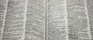  close-up view of an open dictionary, with text and definitions filling both pages, creating a dense and detailed visual of printed words.