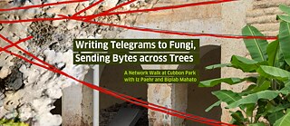 Poster: Iz Paehr_Network Walk at Cubbon Park