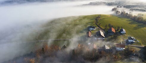 Agrarlandschaft mit Bauernhöfen ragt aus dem Bodennebel, Oberösterreich