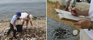 Gemeinsame Aufräumaktion in Athen und Alexandria