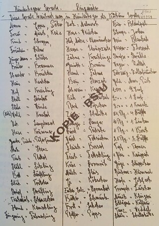 מילון השטאזי למונחים של ניב ההונדסהאגן 