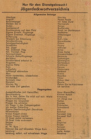 שפת הסוואה של טייסי קרב גרמנים במלחמת העולם השנייה 