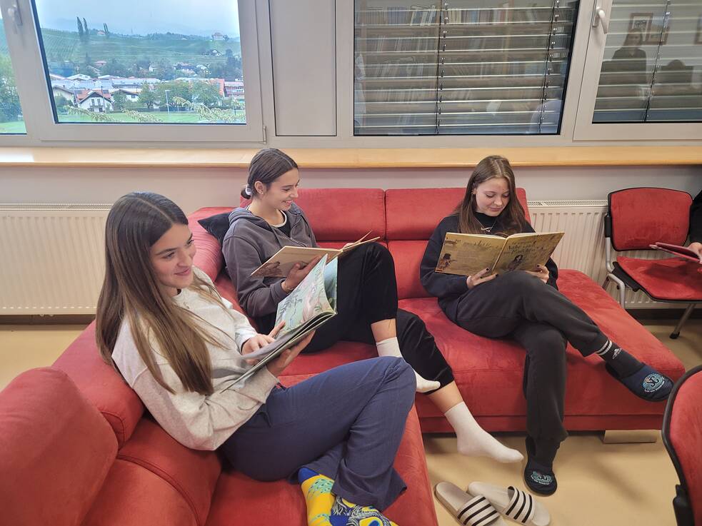 Predstavitev projekta #3 - Gimnazija Slovenske Konjice