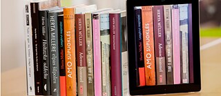 Translation Grant Programme