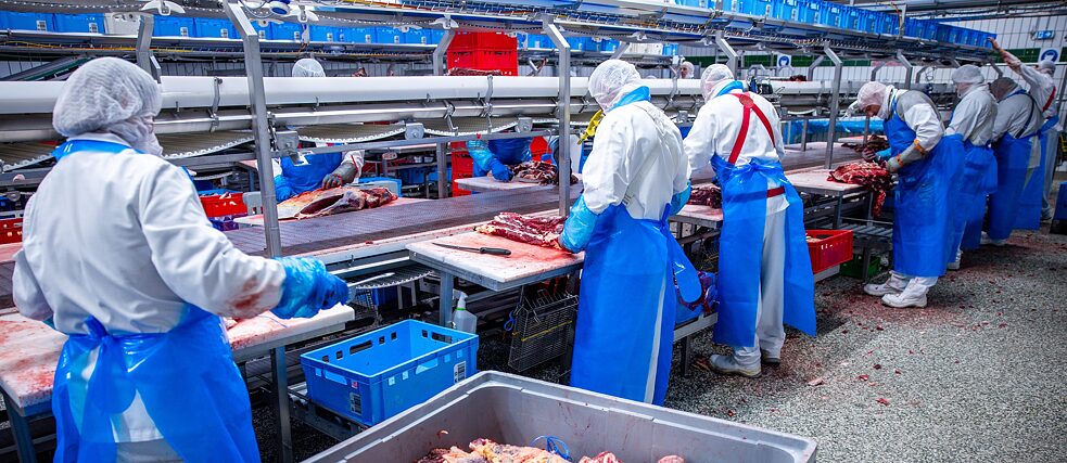 Mitarbeiter zerlegen im Schlachtbetrieb Danish Crown in Teterow Rinderhälften