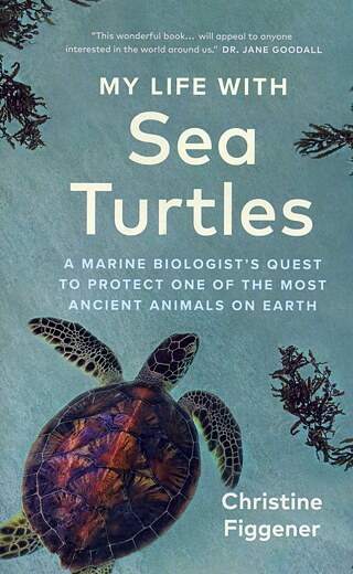 Christine Figgener: My Life with Sea Turtles