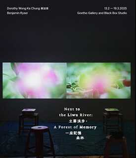 Next to the Liwu River: A Forest of Memory