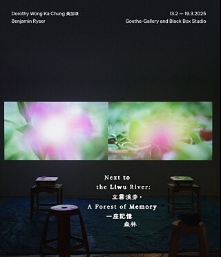 Next to the Liwu River: A Forest of Memory