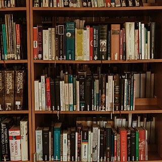 A cozy library interior with tall wooden bookshelves filled with books of various sizes and colors. Comfortable reading chairs and tables are arranged in the center, with soft natural light streaming through large windows. The atmosphere is quiet and inviting, perfect for reading and studying