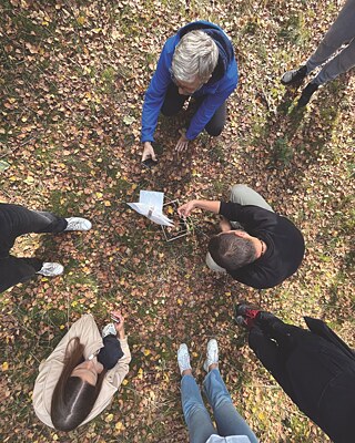 Überwuchern + Botschaft der Natur, Stettin