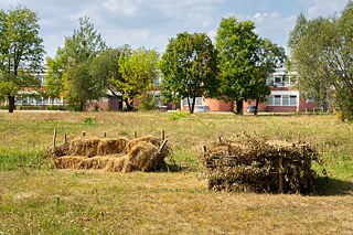 Nachbarschaft der Natur in Białystok. „Cyklarium Słoboda” auf dem Campus der Technischen Universität Białystok, Umsetzung: Galerie Arsenał in Białystok