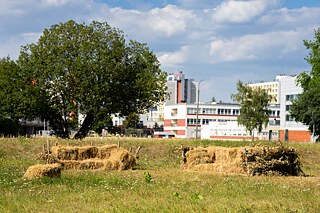 Nachbarschaft der Natur in Białystok. „Cyklarium Słoboda” auf dem Campus der Technischen Universität Białystok, Umsetzung: Galerie Arsenał in Białystok