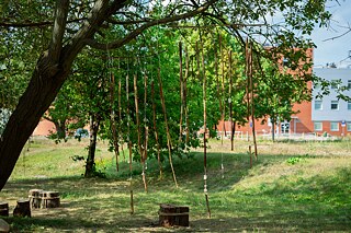 Nachbarschaft der Natur in Białystok. „Cyklarium Słoboda” auf dem Campus der Technischen Universität Białystok, Umsetzung: Galerie Arsenał in Białystok