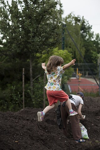 Odrodzenie gleby, Glebobranie, 2024
